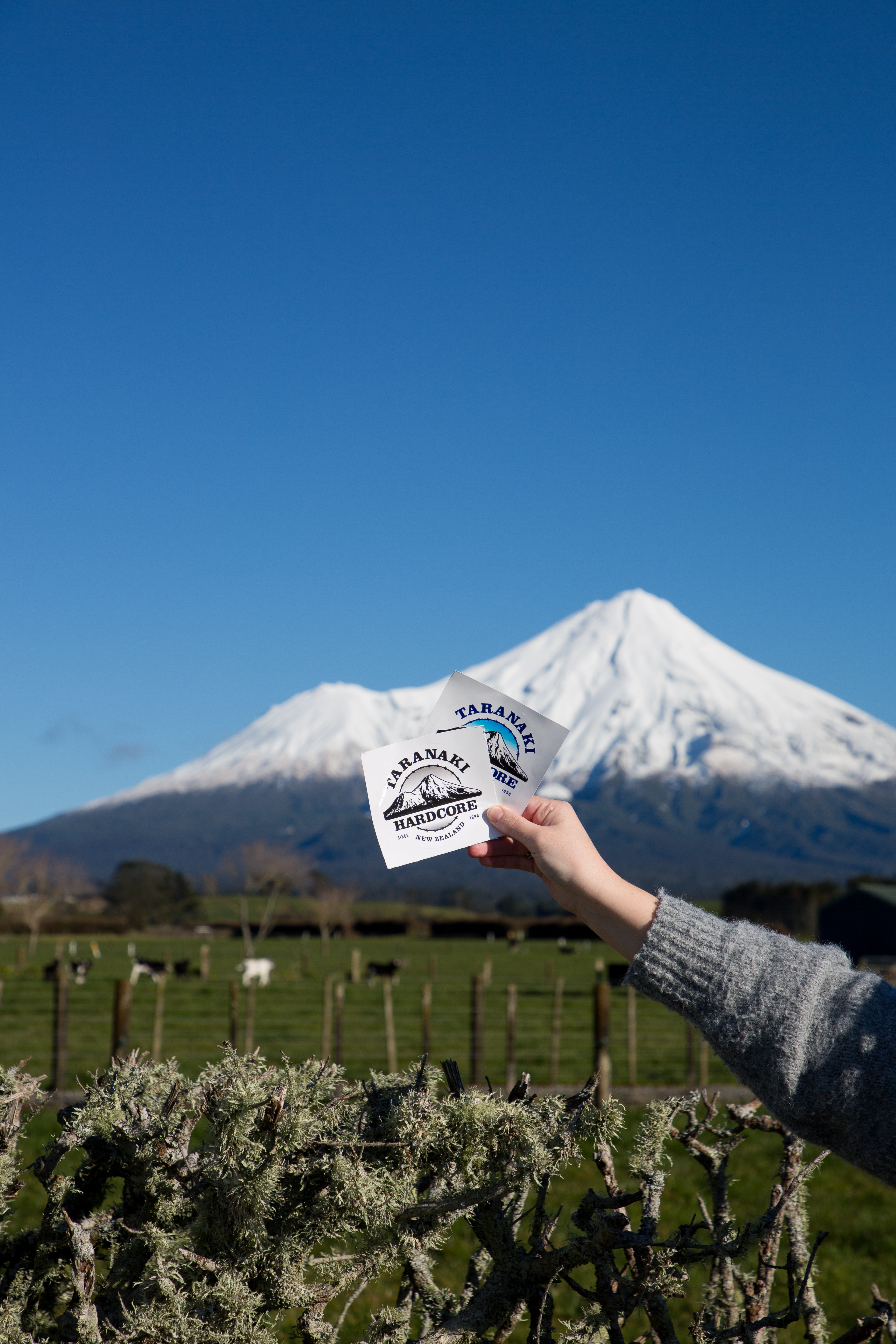 Rustic Mountain Sticker