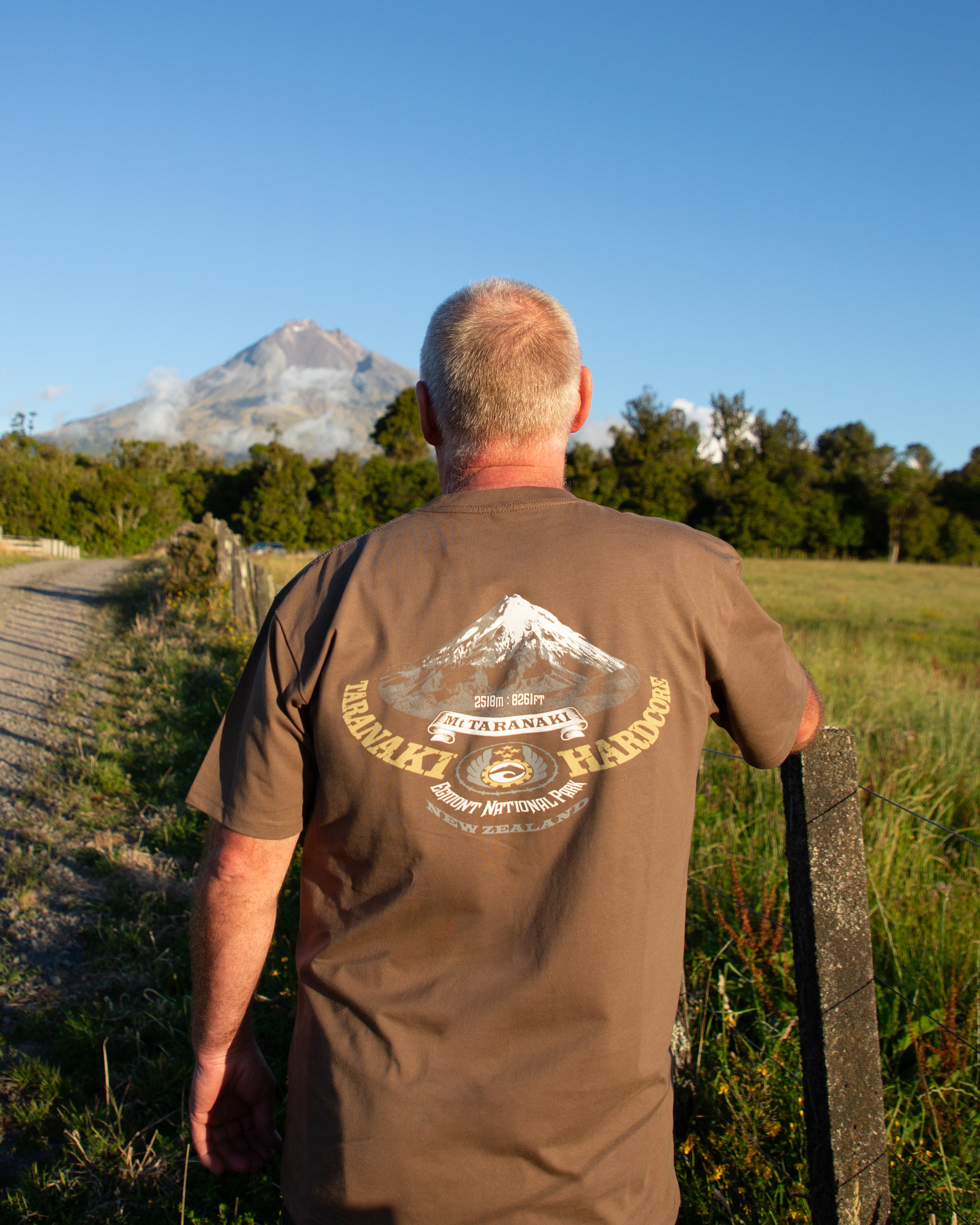 Mens Mountain T-Shirt - Brown